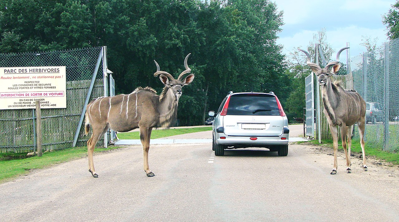 Thoiry ZooSafari