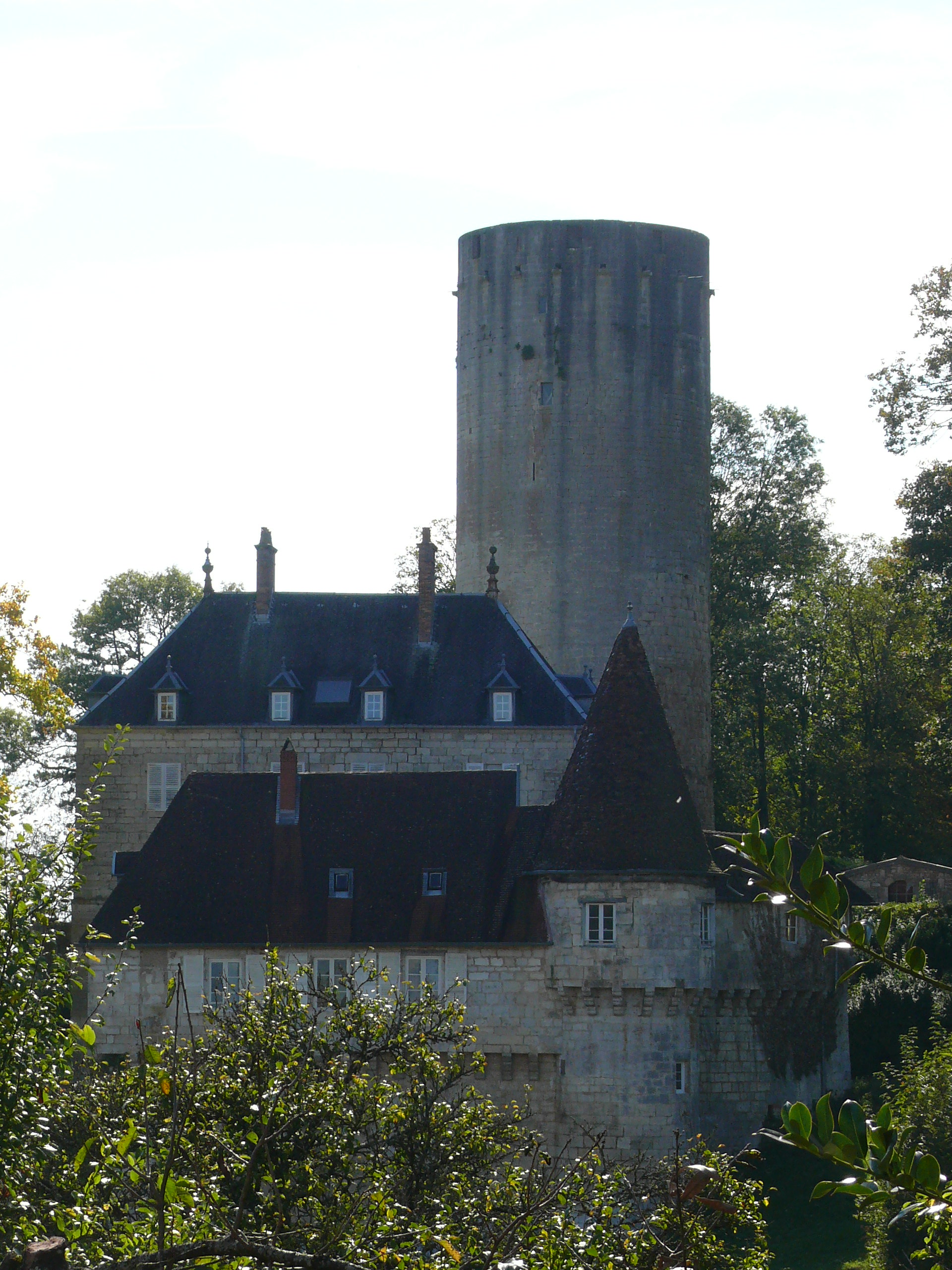 Château de Ray sur Saône