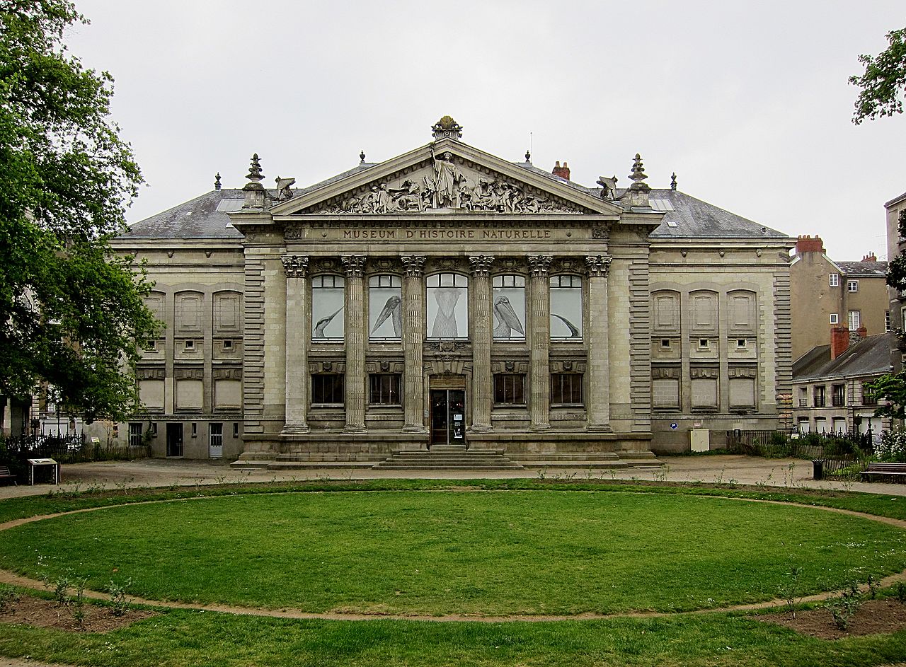 Museum of Natural History of Nantes