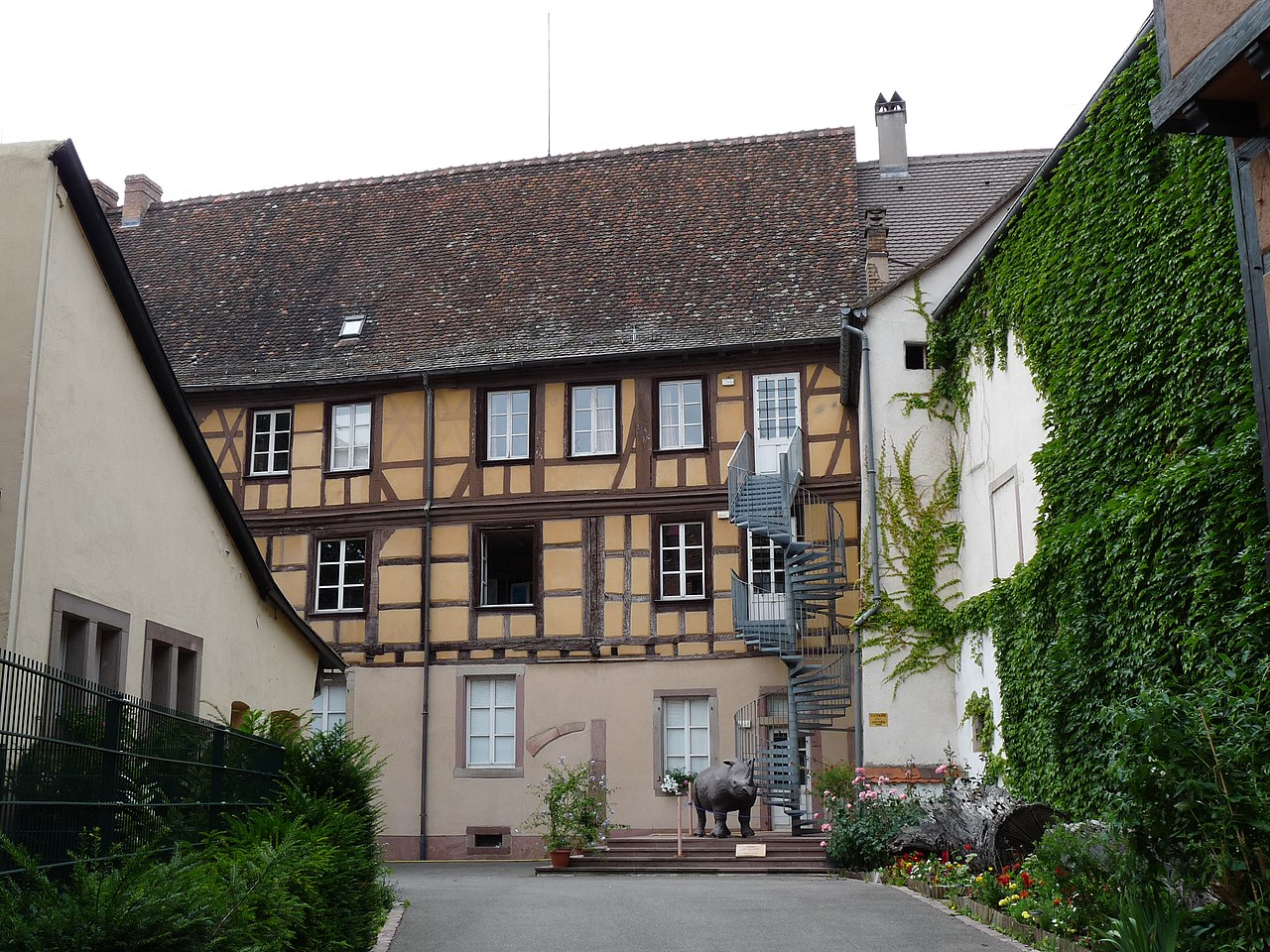 Museum of Natural History and Ethnography of Colmar